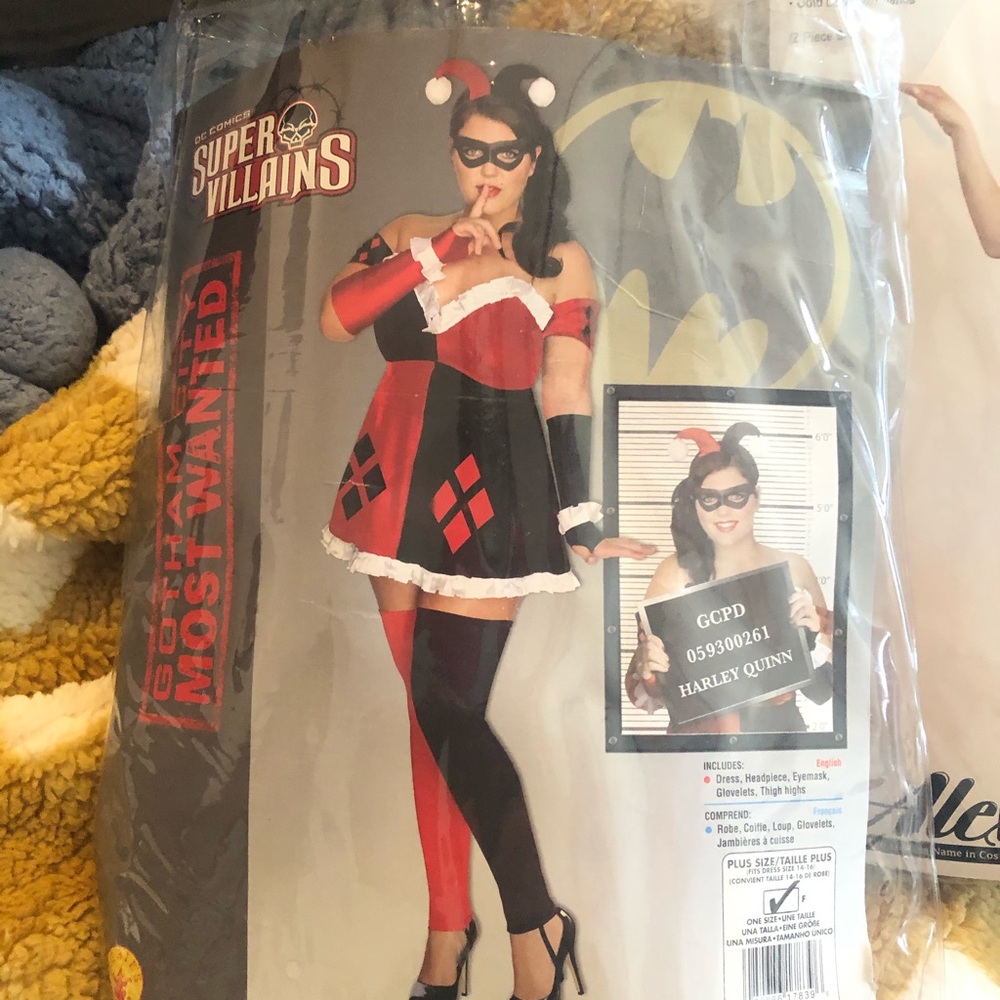 Harley Quinn Halloween costume